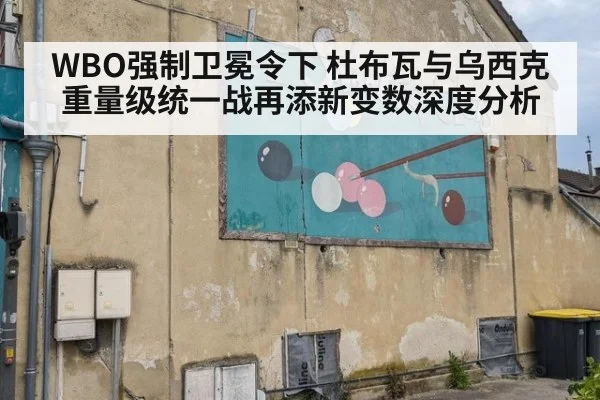 WBO强制卫冕令下 杜布瓦与乌西克重量级统一战再添新变数深度分析