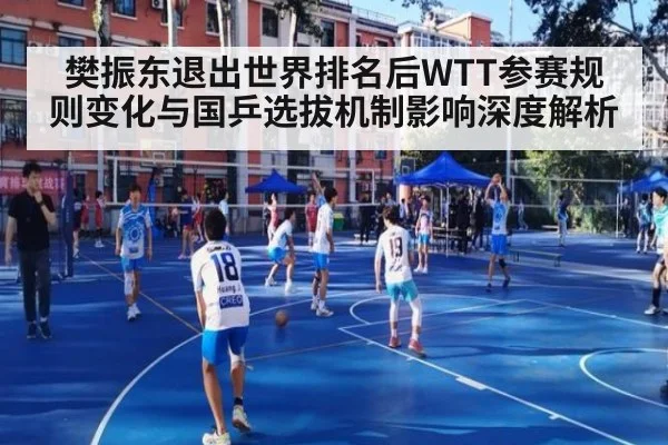 樊振东退出世界排名后WTT参赛规则变化与国乒选拔机制影响深度解析